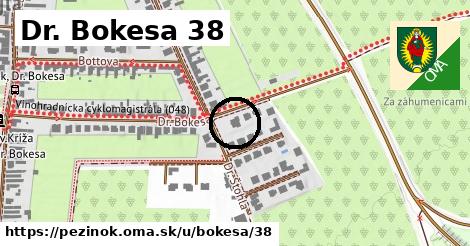 Dr. Bokesa 38, Pezinok