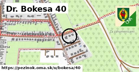 Dr. Bokesa 40, Pezinok