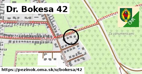 Dr. Bokesa 42, Pezinok