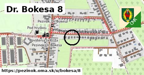 Dr. Bokesa 8, Pezinok