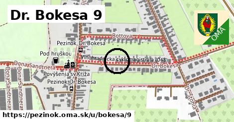 Dr. Bokesa 9, Pezinok