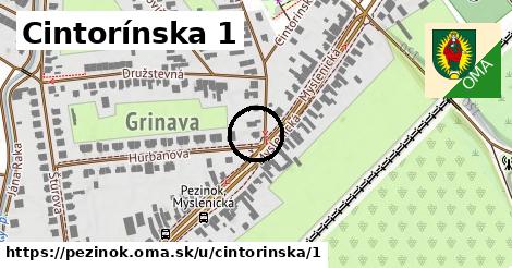 Cintorínska 1, Pezinok