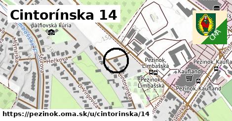 Cintorínska 14, Pezinok