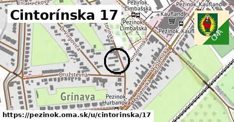 Cintorínska 17, Pezinok