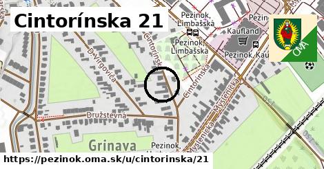 Cintorínska 21, Pezinok