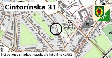 Cintorínska 31, Pezinok