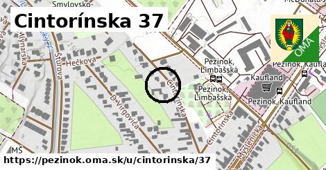 Cintorínska 37, Pezinok