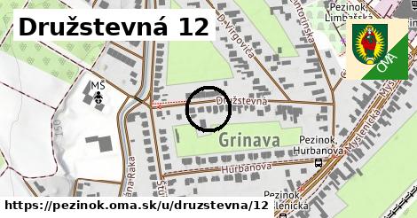 Družstevná 12, Pezinok