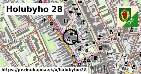 Holubyho 28, Pezinok