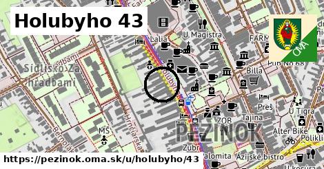 Holubyho 43, Pezinok