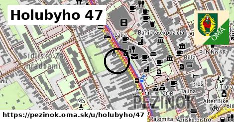 Holubyho 47, Pezinok