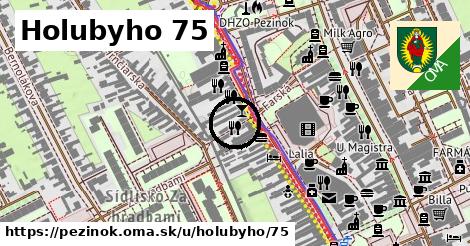 Holubyho 75, Pezinok