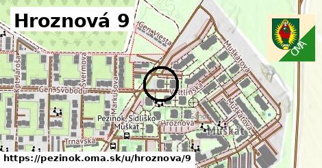 Hroznová 9, Pezinok