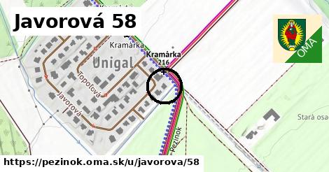 Javorová 58, Pezinok