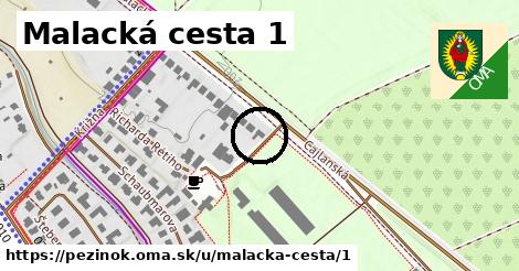 Malacká cesta 1, Pezinok