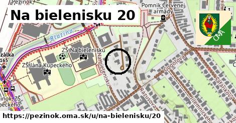 Na bielenisku 20, Pezinok