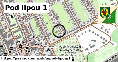 Pod lipou 1, Pezinok