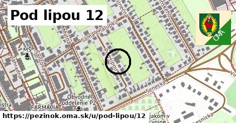 Pod lipou 12, Pezinok