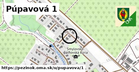 Púpavová 1, Pezinok