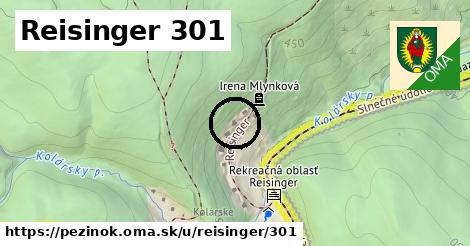 Reisinger 301, Pezinok