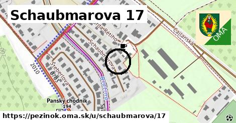 Schaubmarova 17, Pezinok