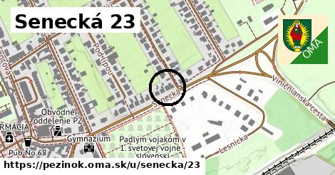 Senecká 23, Pezinok