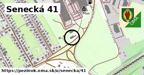 Senecká 41, Pezinok