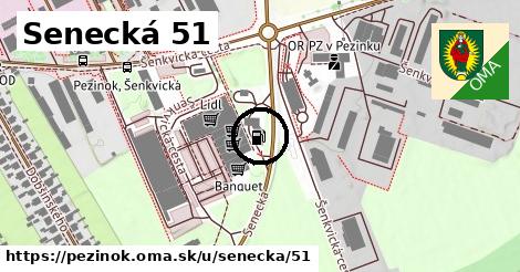 Senecká 51, Pezinok