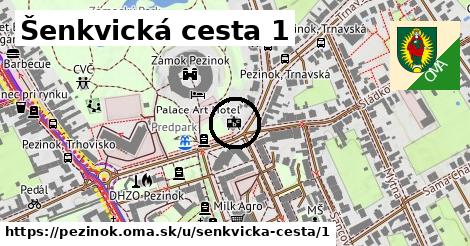 Šenkvická cesta 1, Pezinok