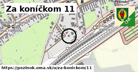 Za koníčkom 11, Pezinok