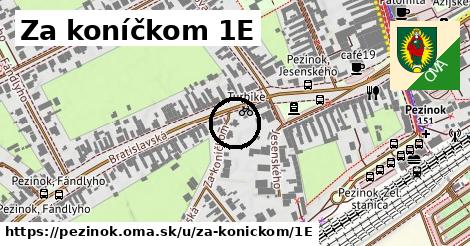 Za koníčkom 1E, Pezinok