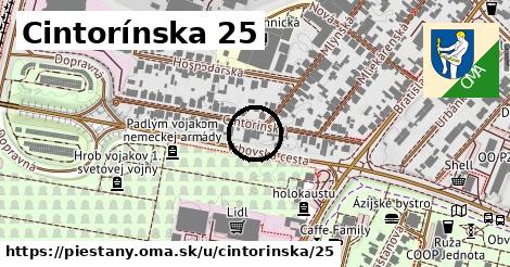 Cintorínska 25, Piešťany