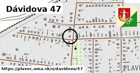 Dávidova 47, Plaveč