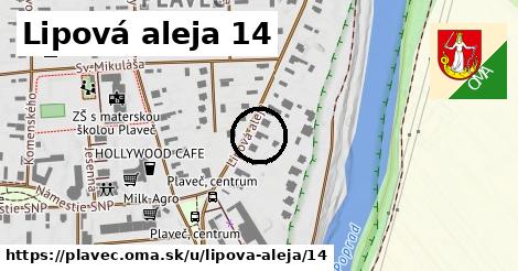 Lipová aleja 14, Plaveč