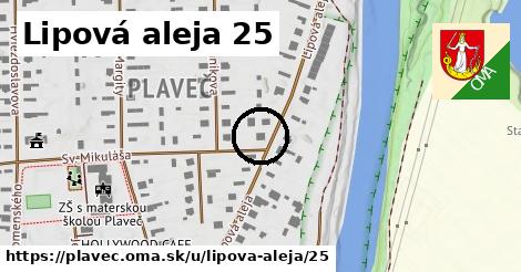 Lipová aleja 25, Plaveč