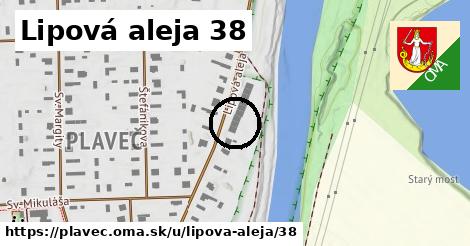 Lipová aleja 38, Plaveč