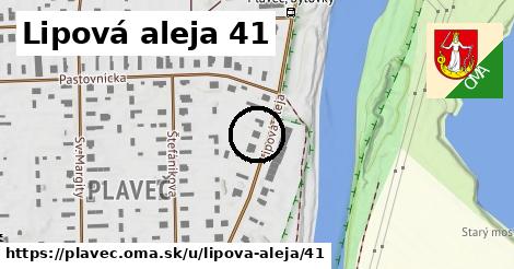 Lipová aleja 41, Plaveč