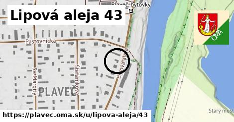 Lipová aleja 43, Plaveč