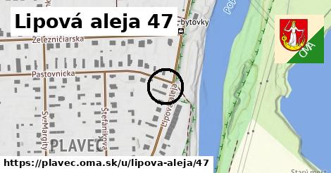 Lipová aleja 47, Plaveč