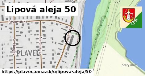 Lipová aleja 50, Plaveč