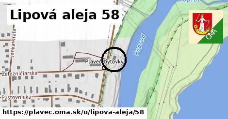 Lipová aleja 58, Plaveč