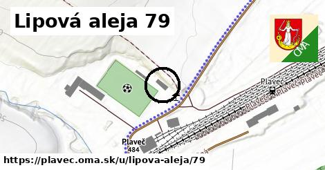 Lipová aleja 79, Plaveč