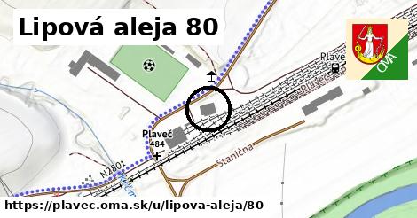 Lipová aleja 80, Plaveč