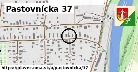 Pastovnícka 37, Plaveč