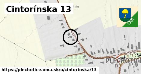Cintorínska 13, Plechotice