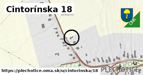 Cintorínska 18, Plechotice