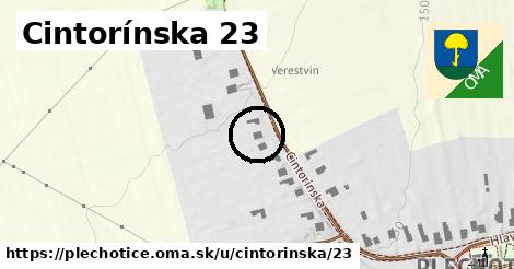 Cintorínska 23, Plechotice