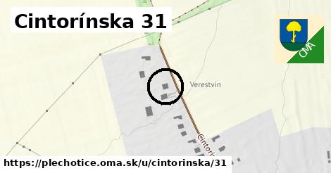 Cintorínska 31, Plechotice