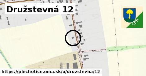 Družstevná 12, Plechotice
