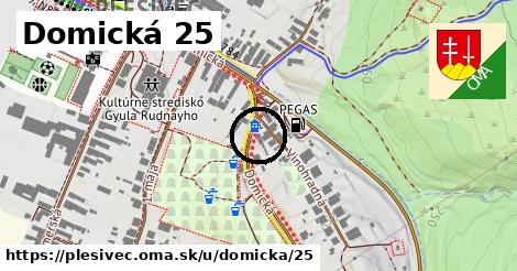 Domická 25, Plešivec